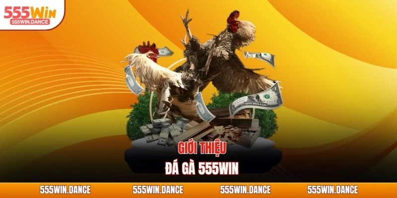 Giới thiệu đá gà 555WIN